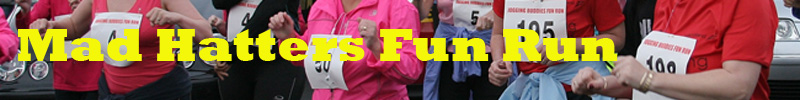 Banner Mad Hatters