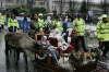 IMG_2230t1