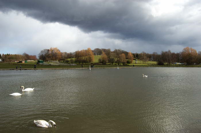 Pond at Barshaw Park